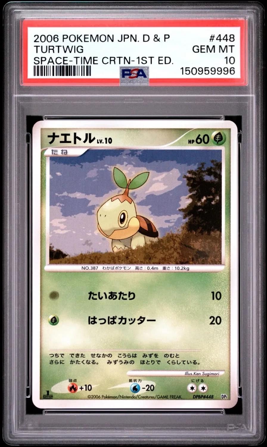 Turtwig