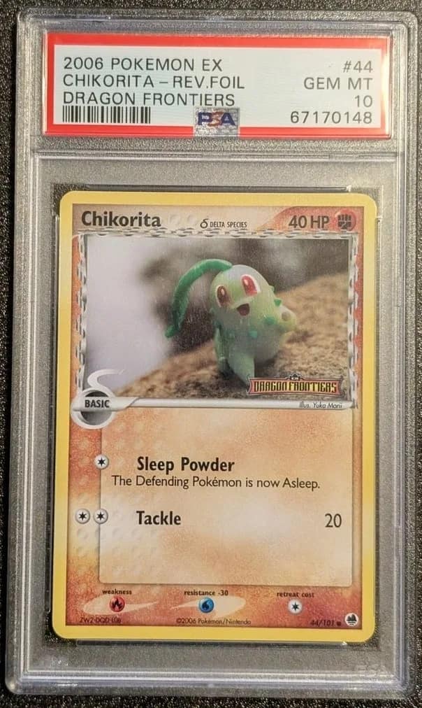 Chikorita δ