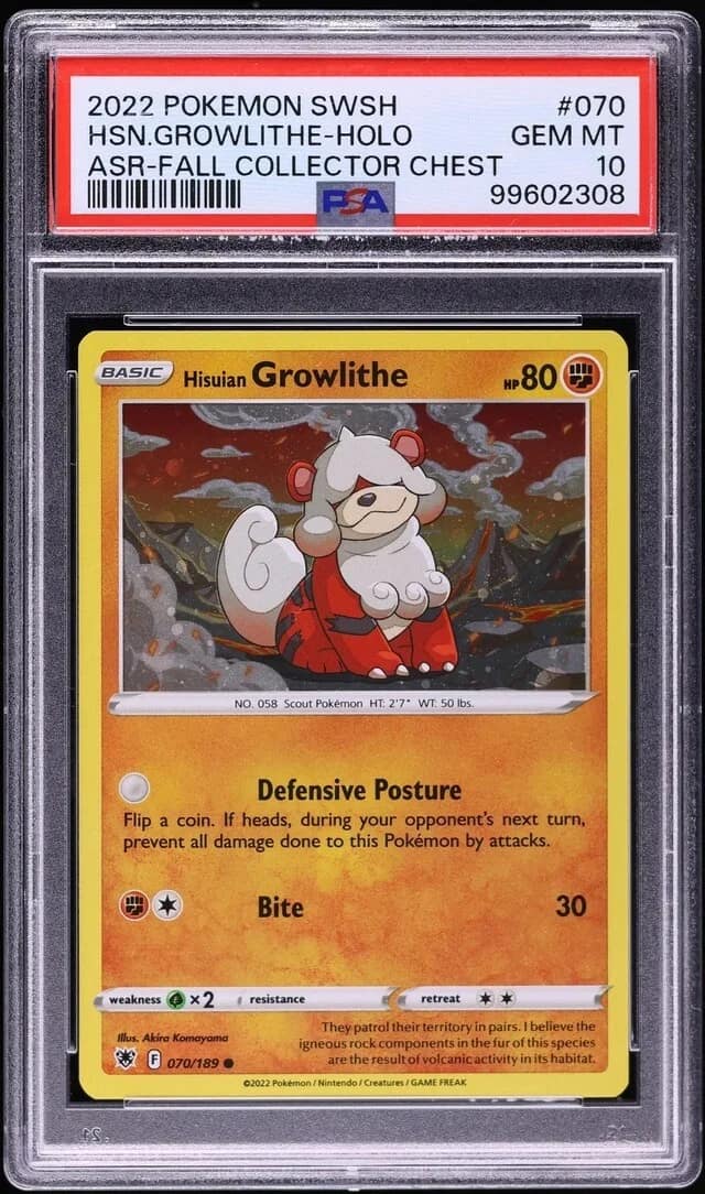 Hsn.growlithe