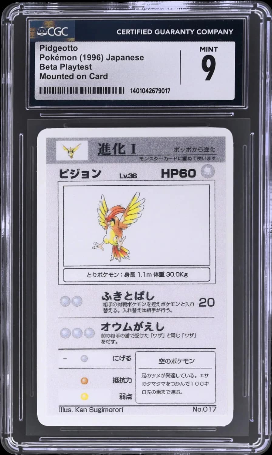 Pidgeotto