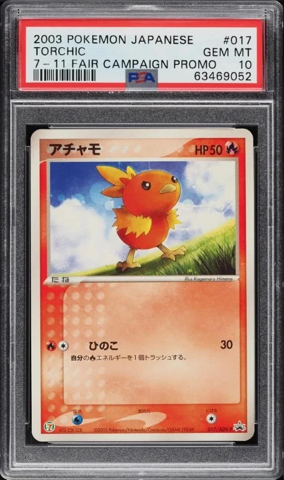 Torchic
