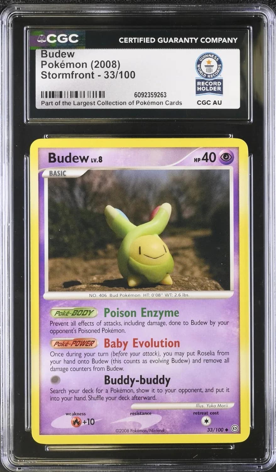 Budew