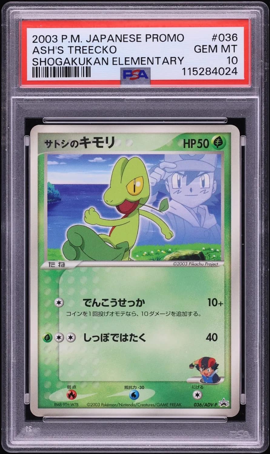 Ash'S Treecko