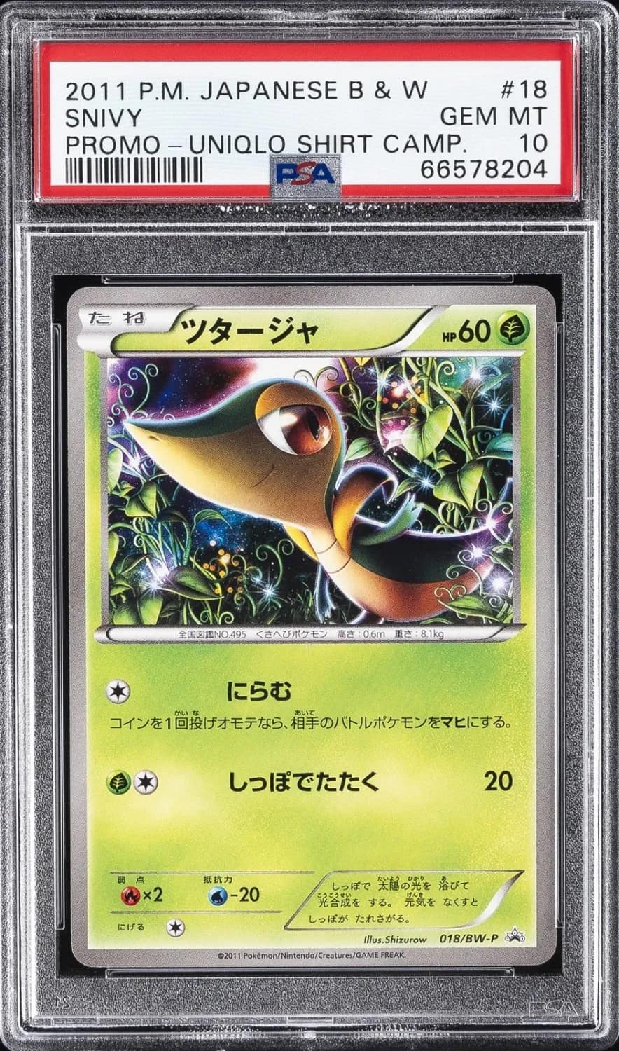 Snivy