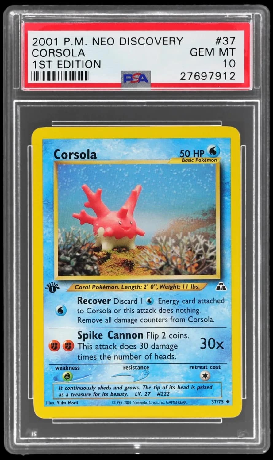 Corsola