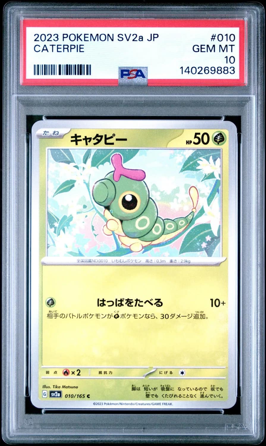 Caterpie