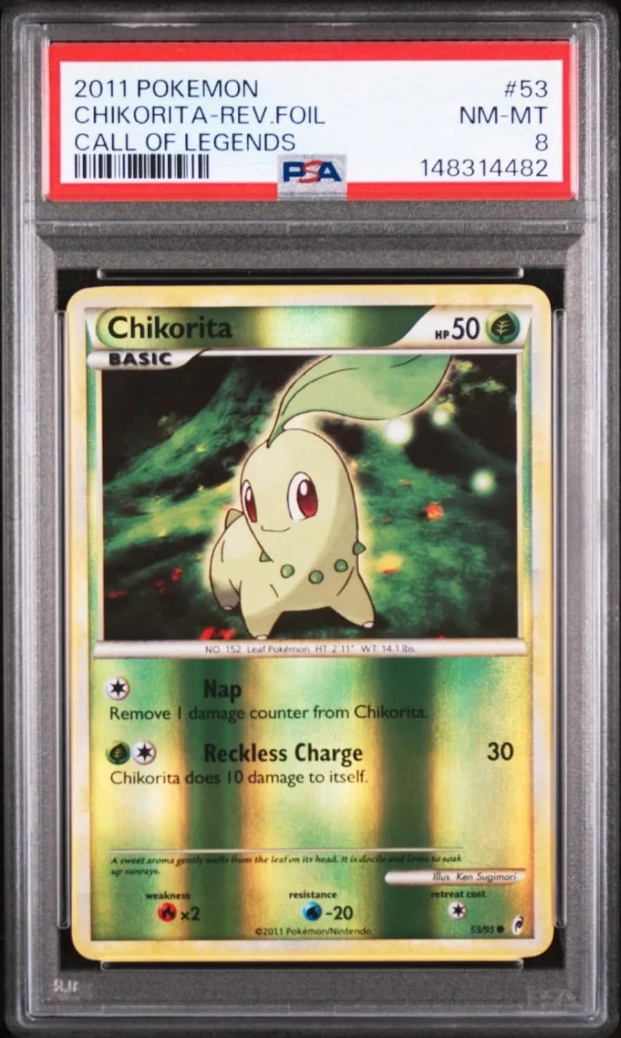 Chikorita