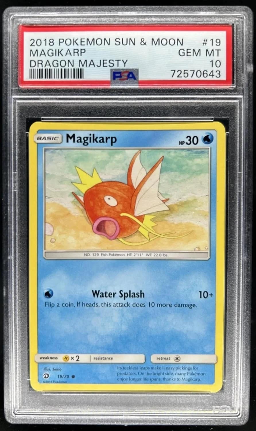 Magikarp & Wailord Gx