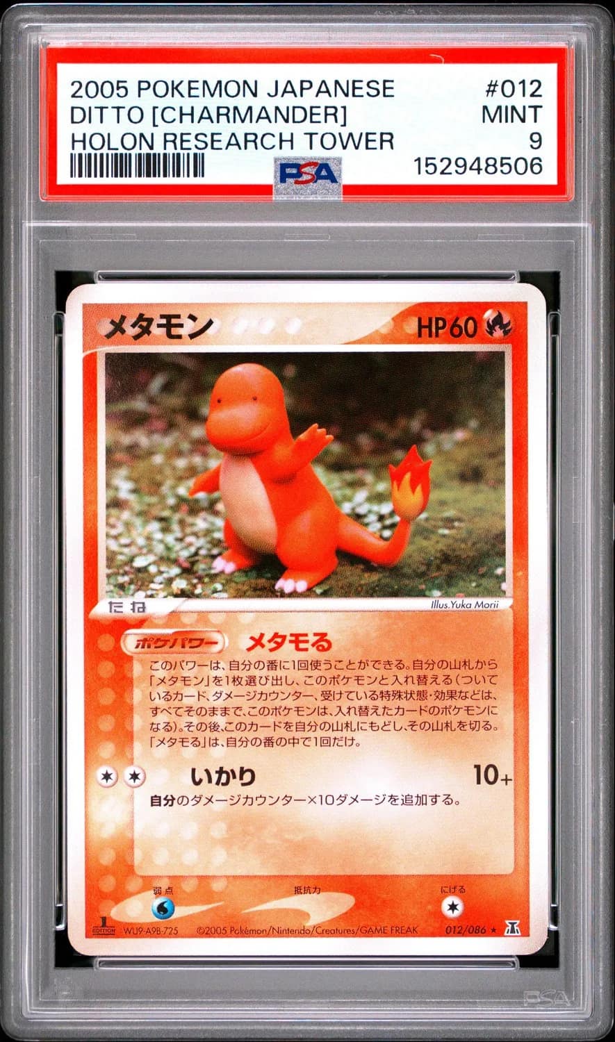 Ditto [charmander]