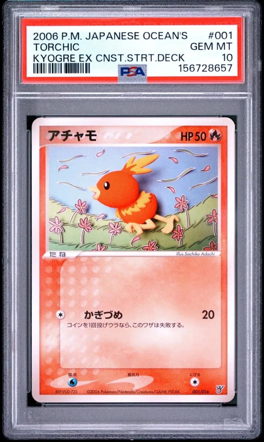 Torchic