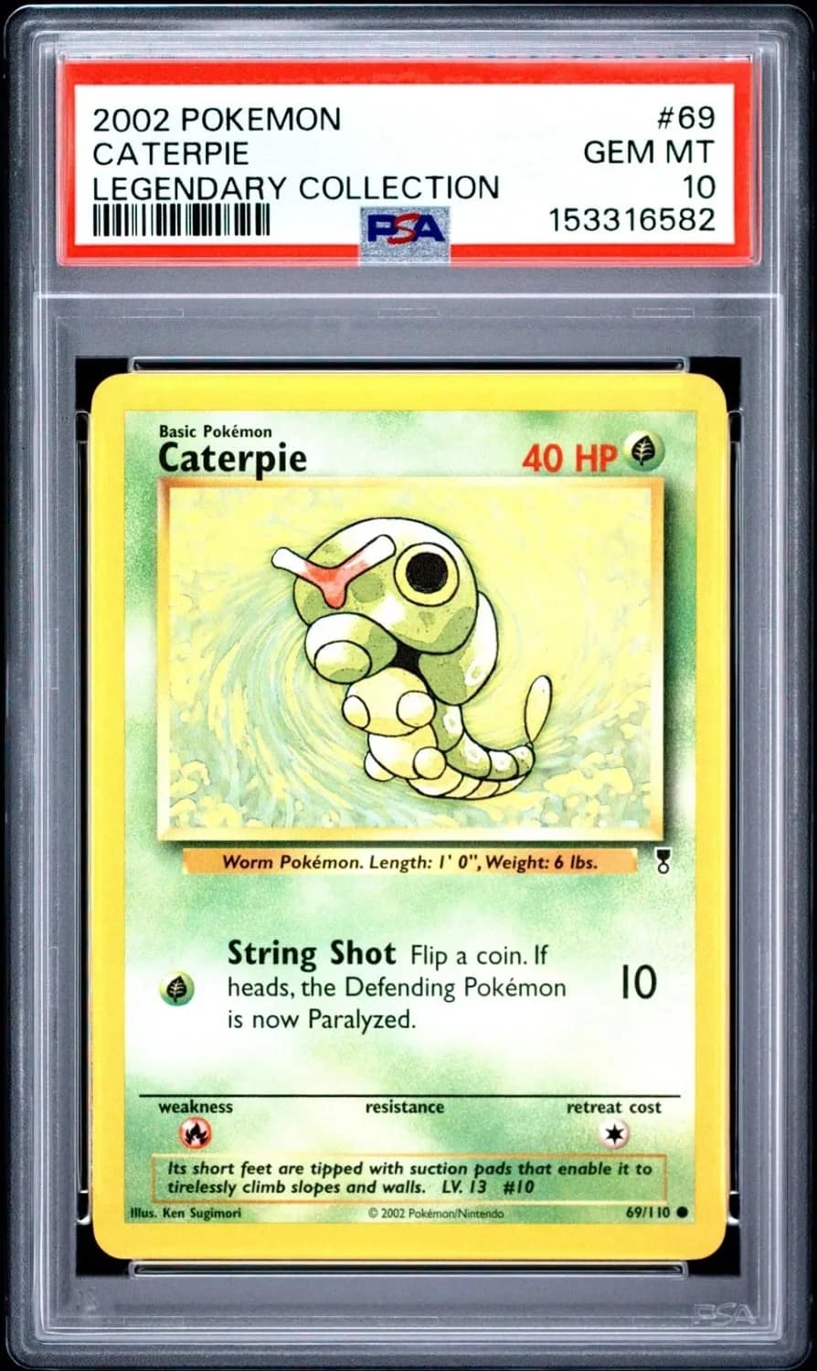 Caterpie