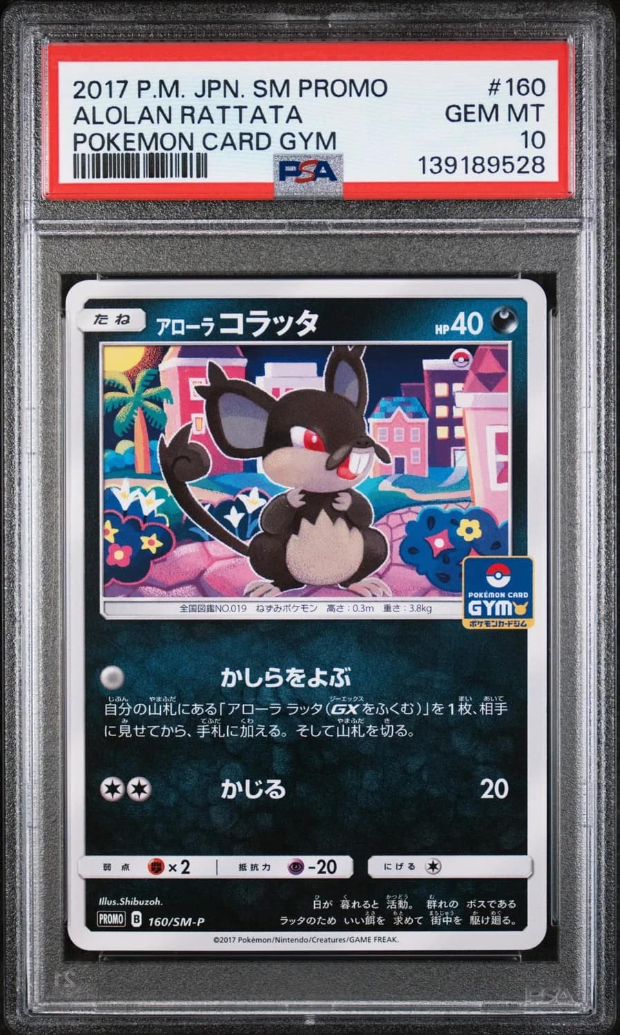 Alolan Rattata