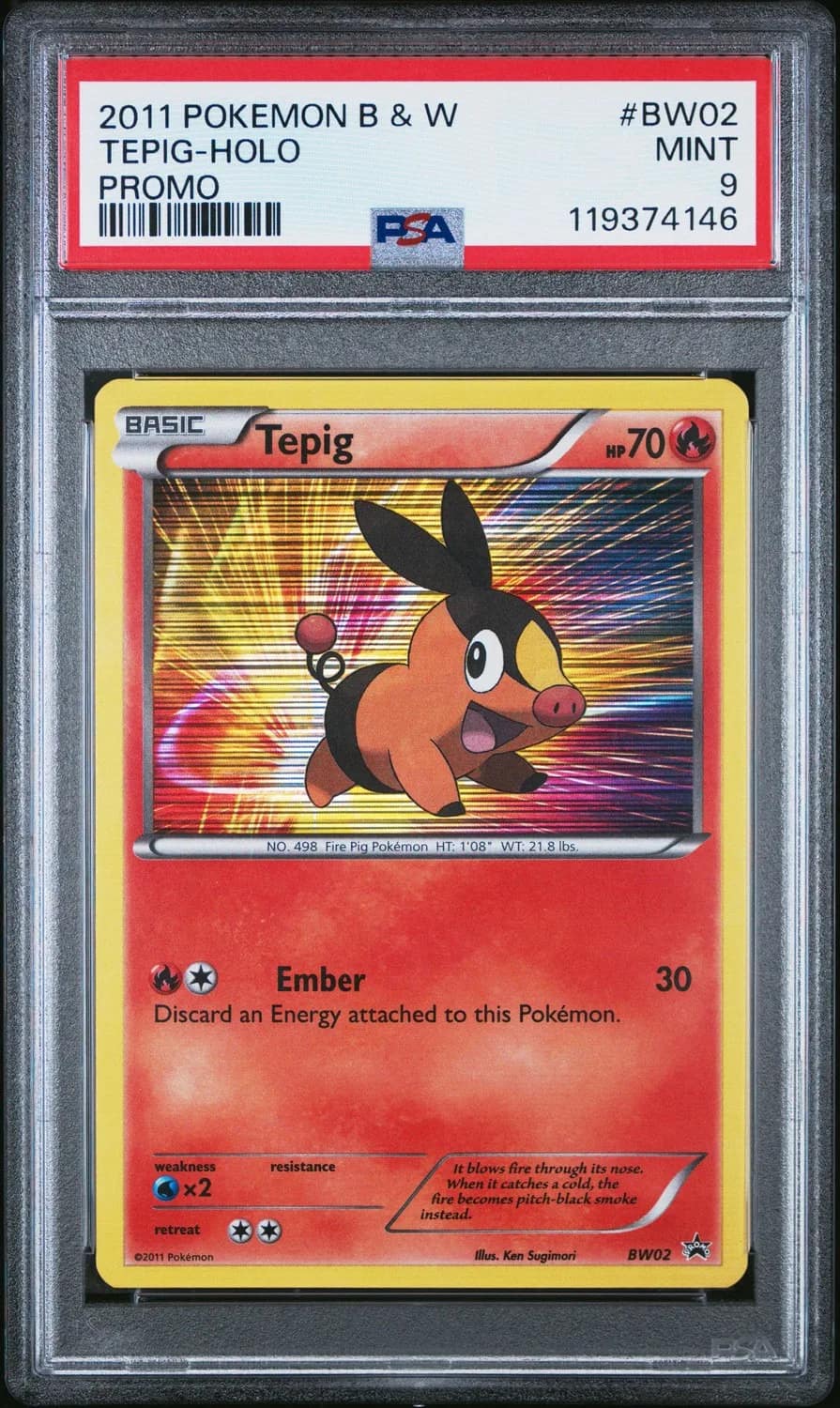 Tepig