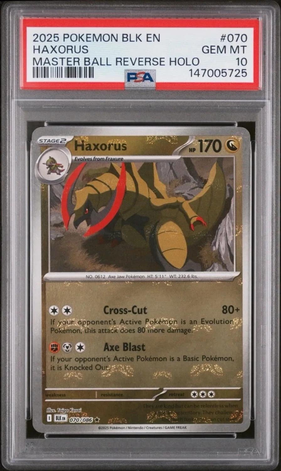 Haxorus