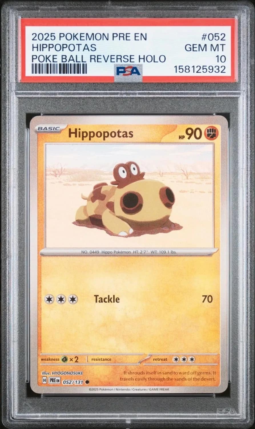 Hippopotas