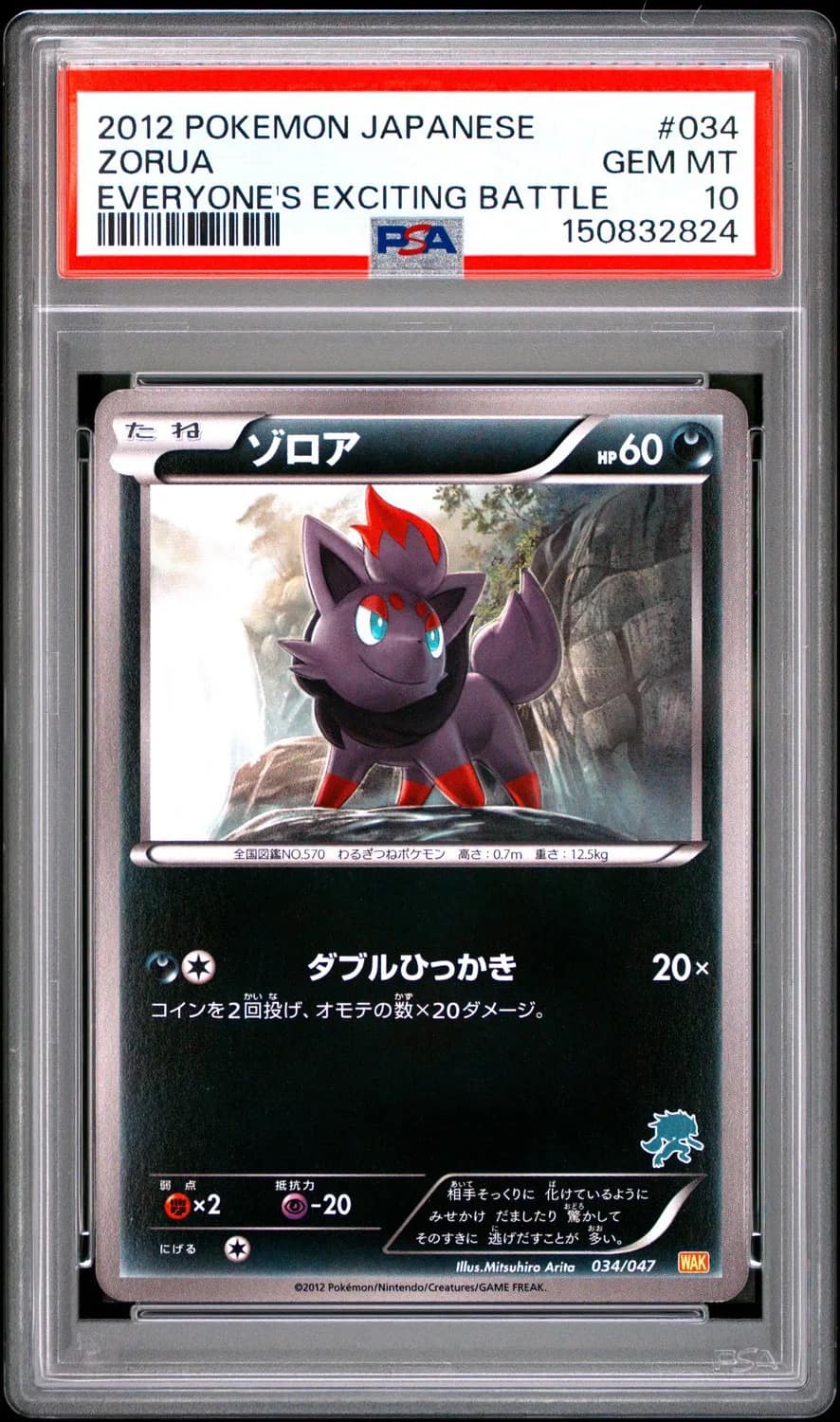 Zorua