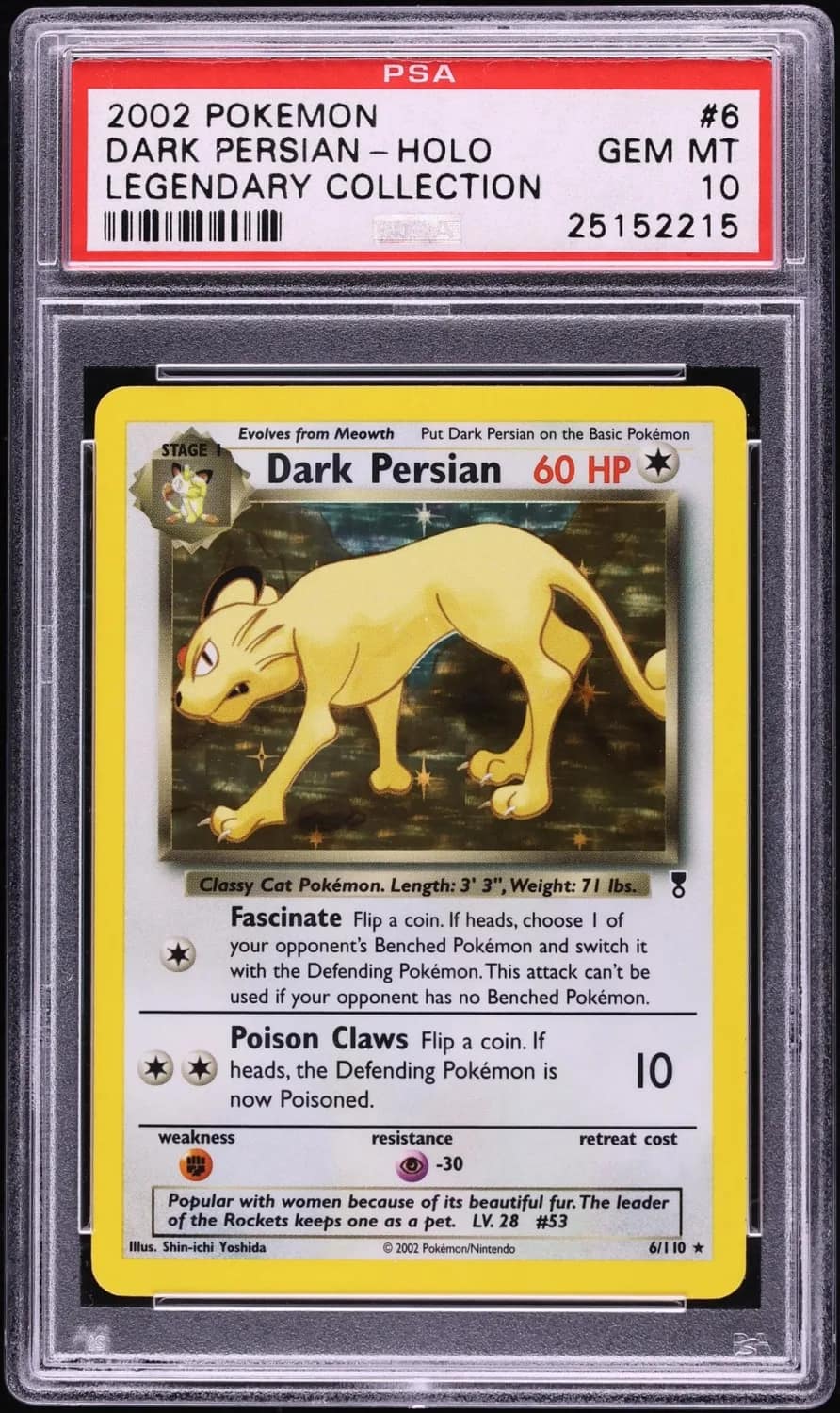 Dark Persian