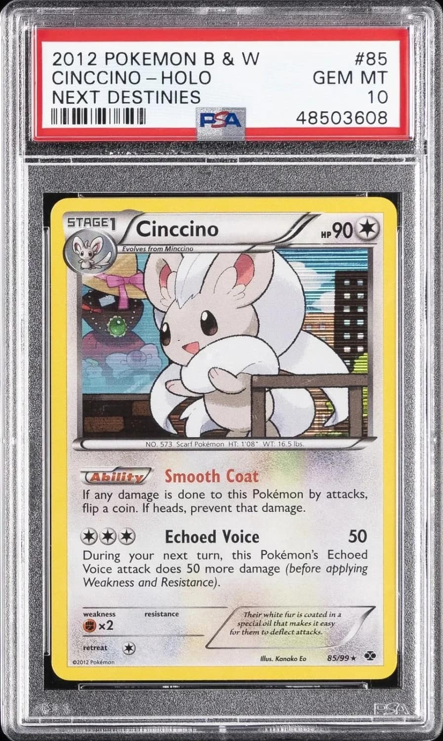 Cinccino