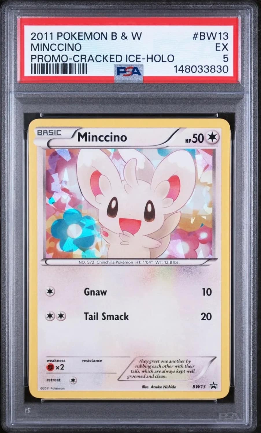 Minccino