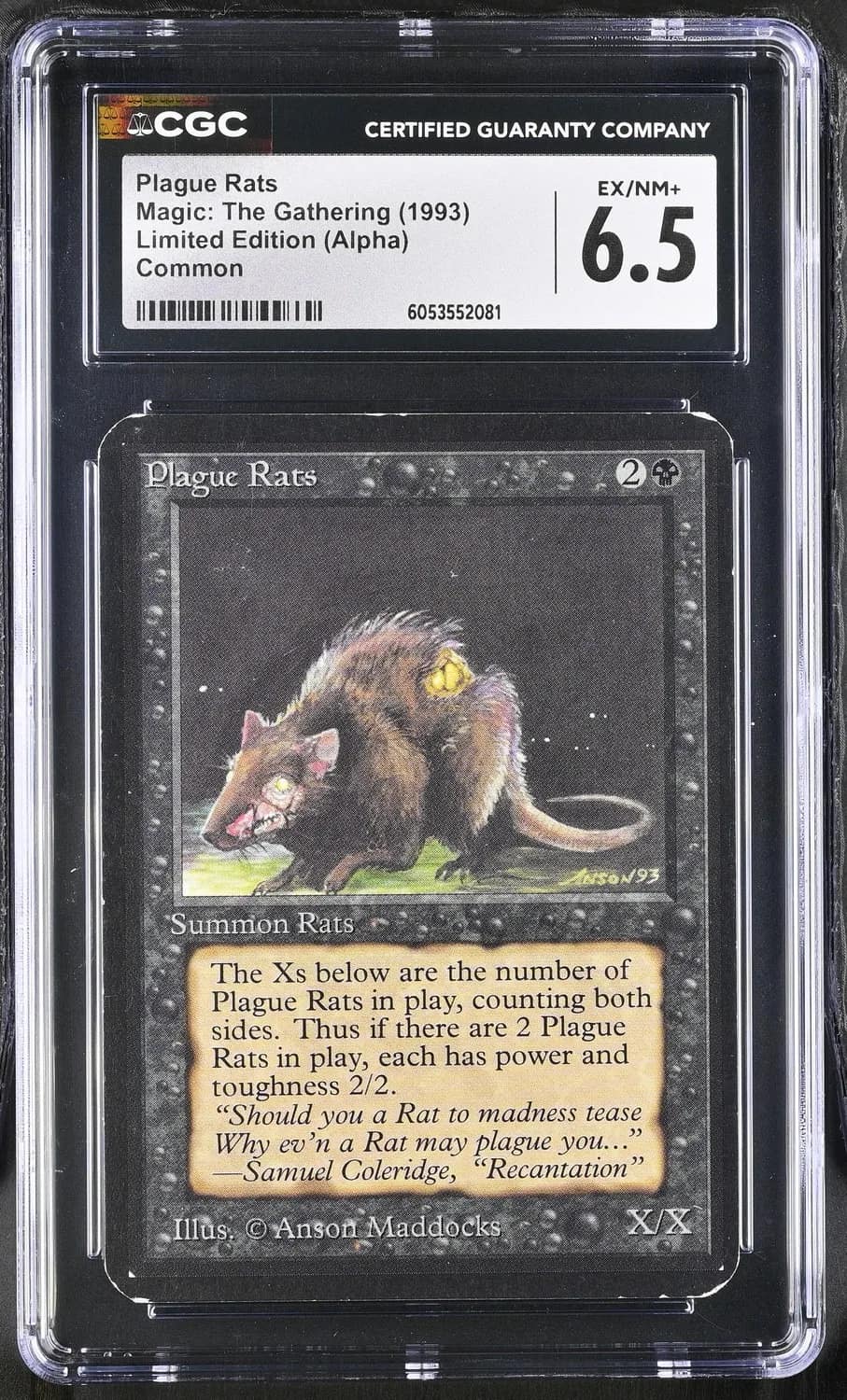Plague Rats
