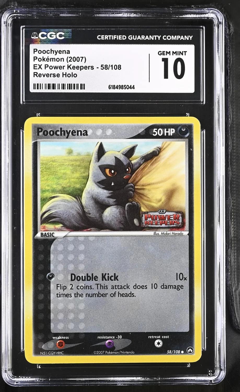 Poochyena