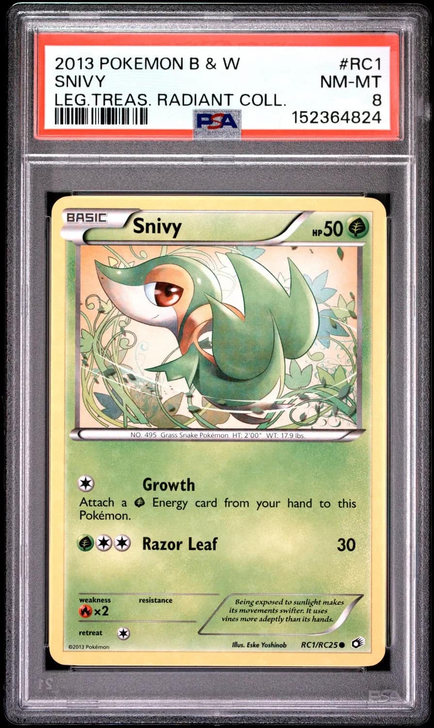Snivy