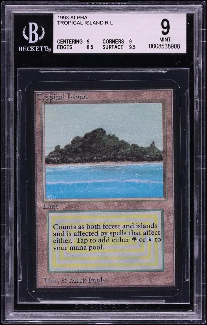 Tropical Island R :l: