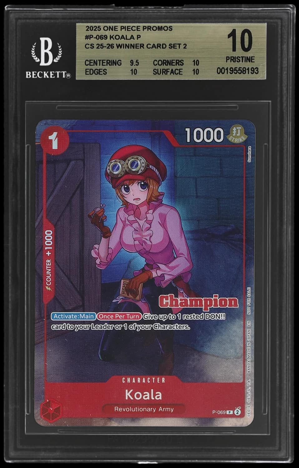 Koala P/(cs 25-26 Winner Card Set 2)