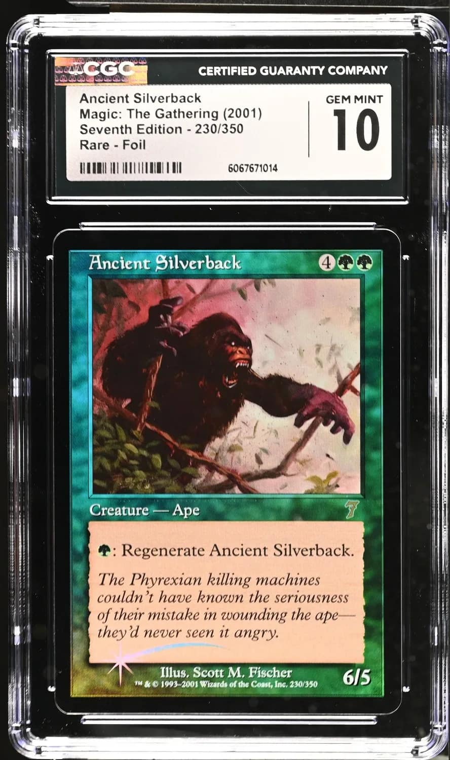 Ancient Silverback