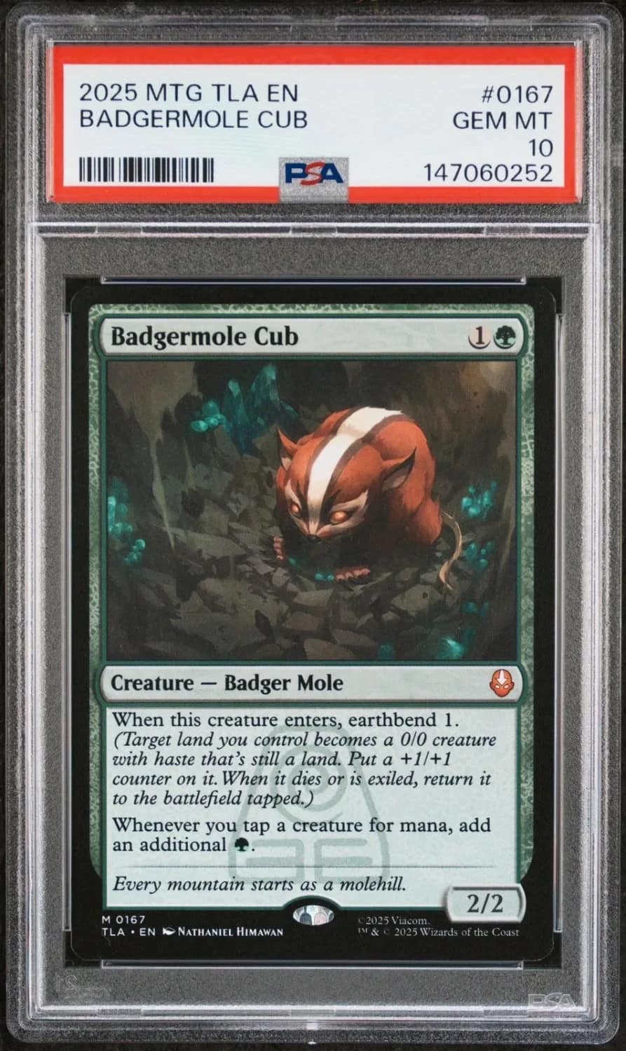 Badgermole Cub