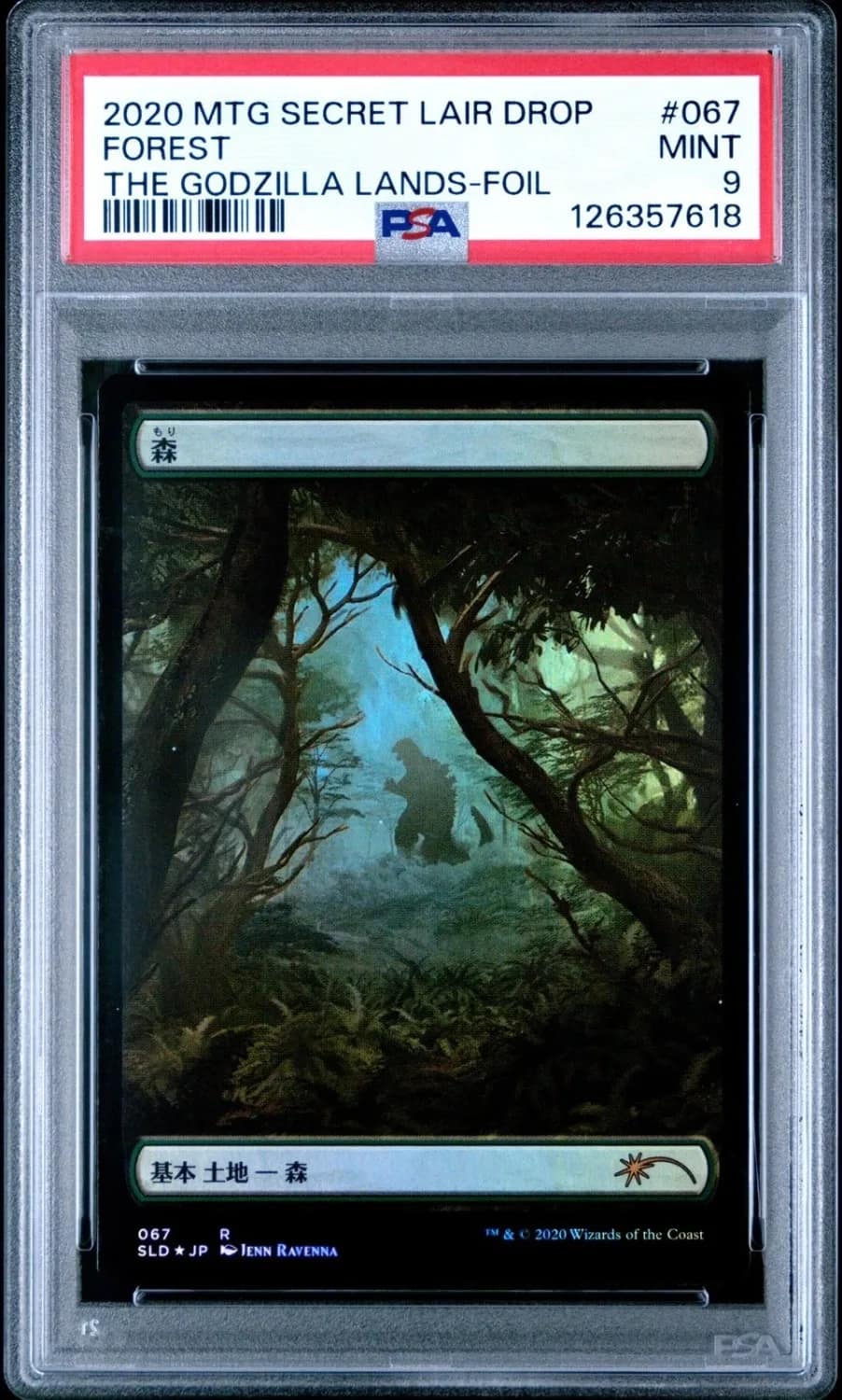 Forest