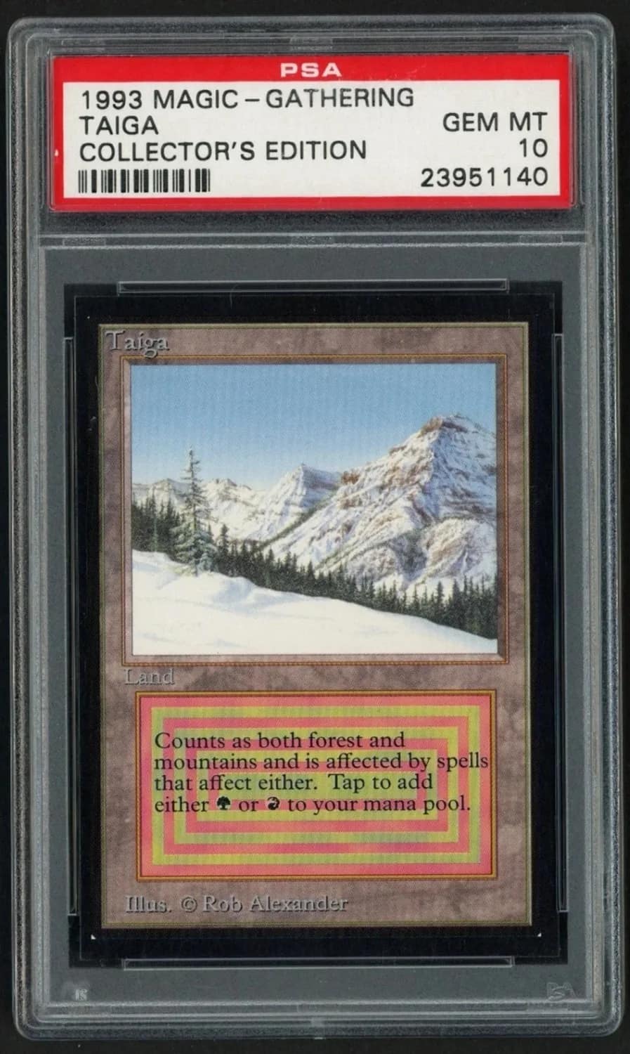 Taiga