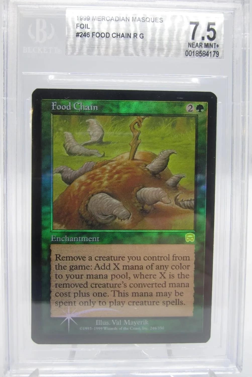 Food Chain