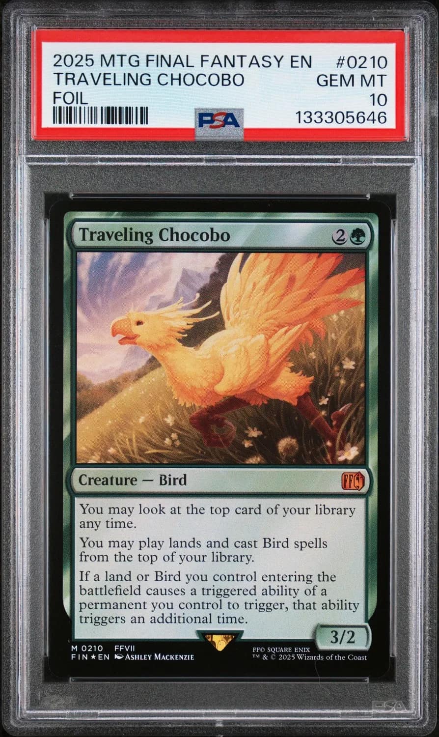 Traveling Chocobo