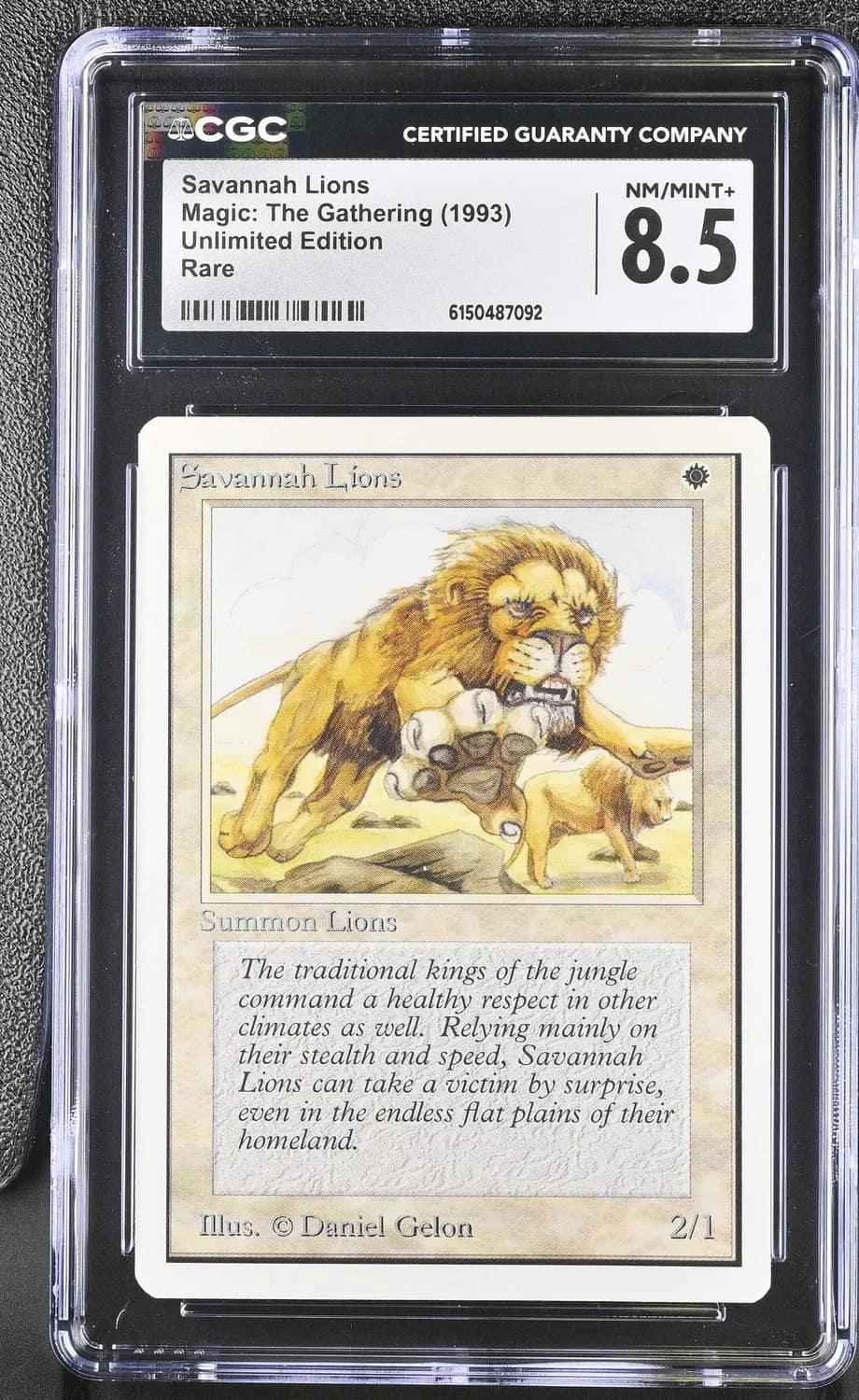 Savannah Lions