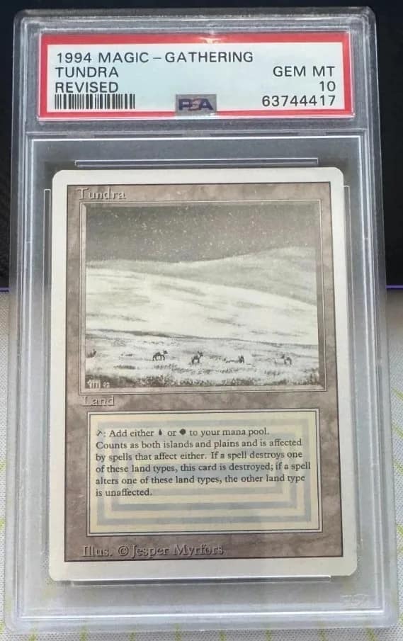 Tundra