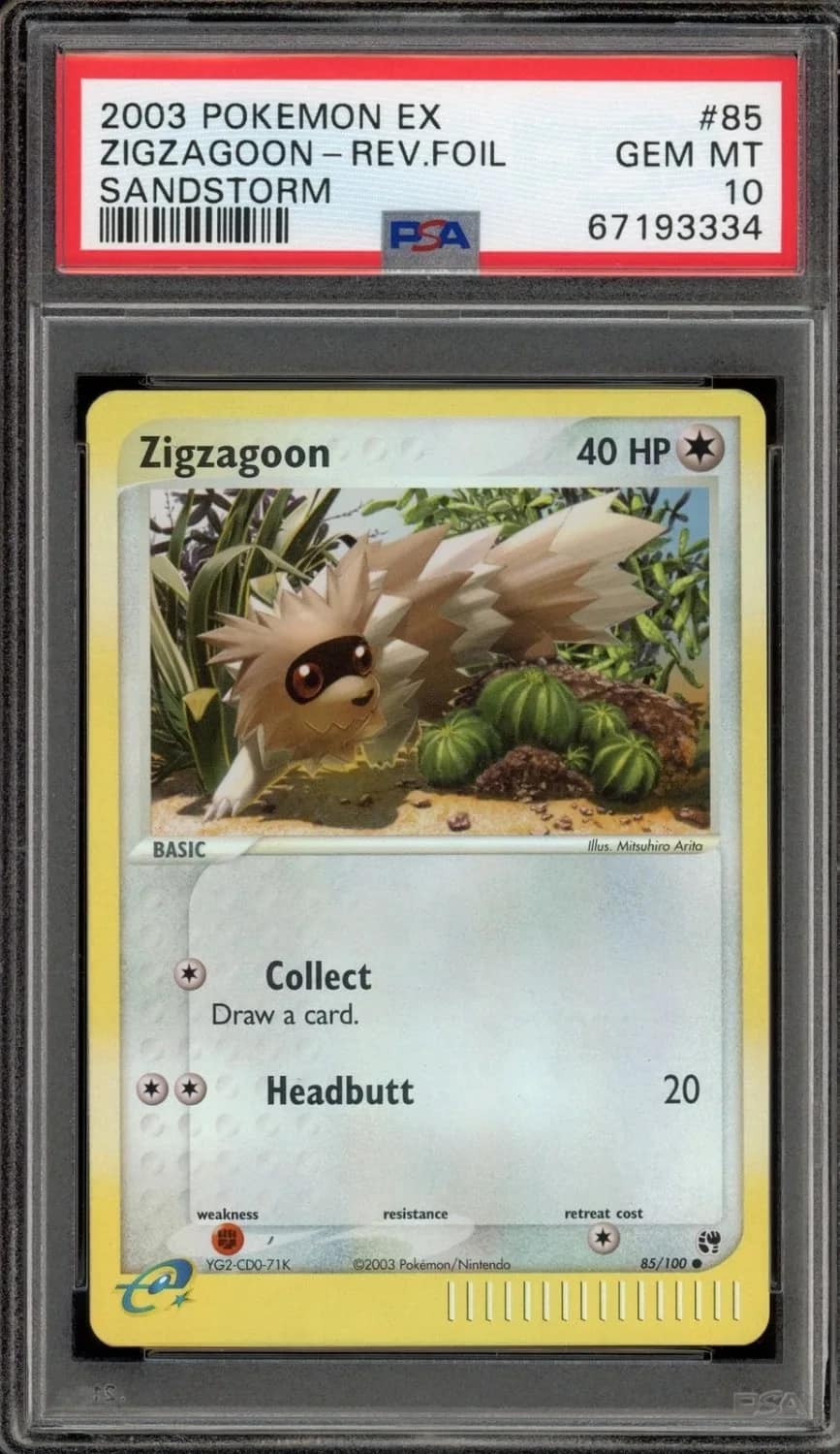 Zigzagoon