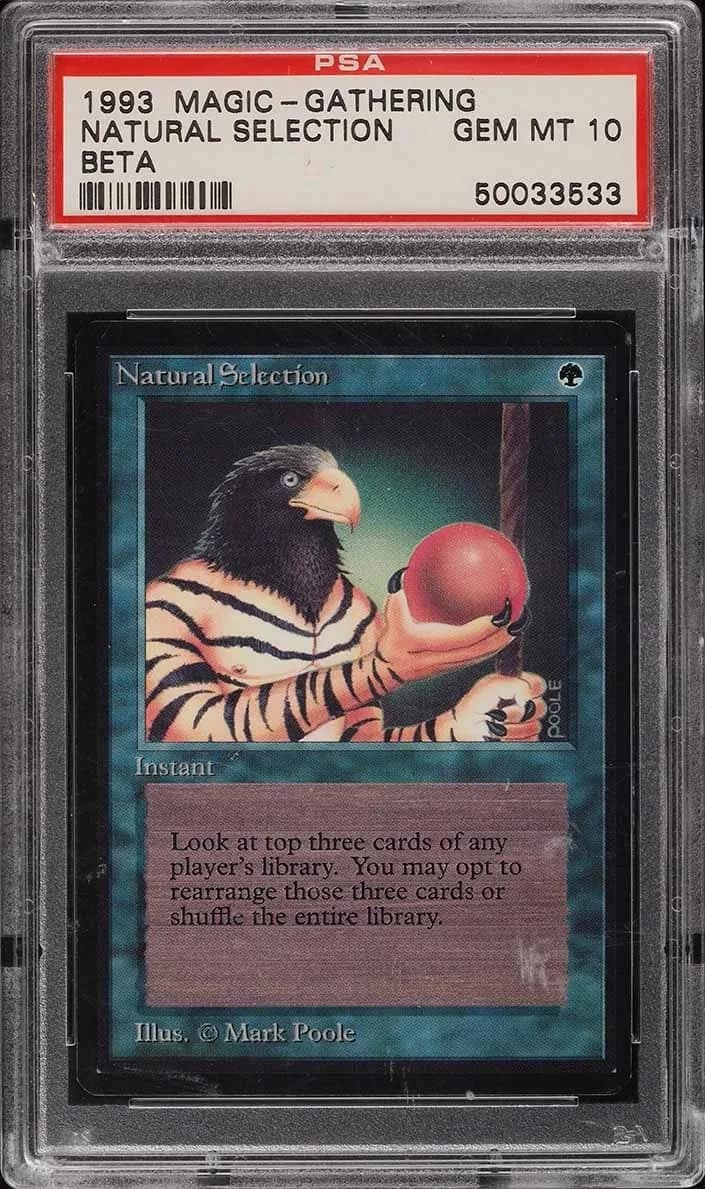 Natural Selection