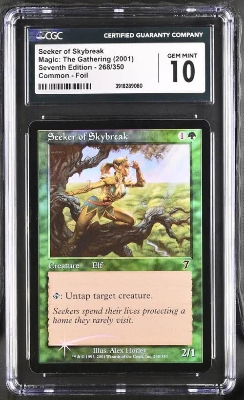 Seeker Of Skybreak