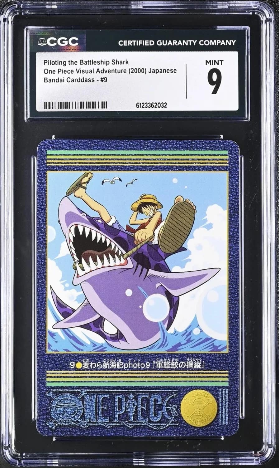 Piloting The Battleship Shark