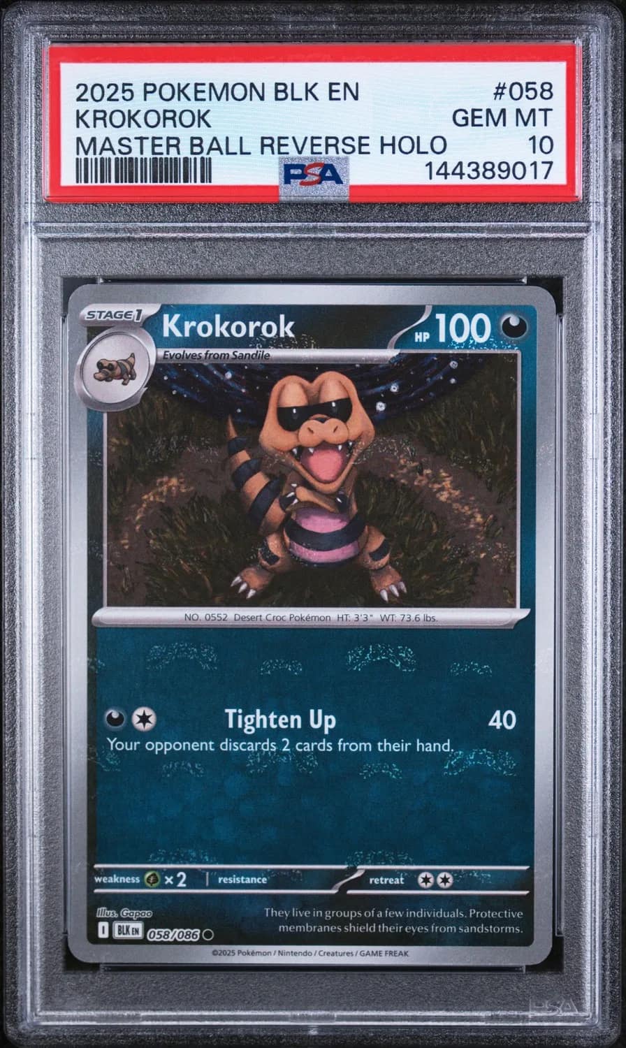 Krokorok