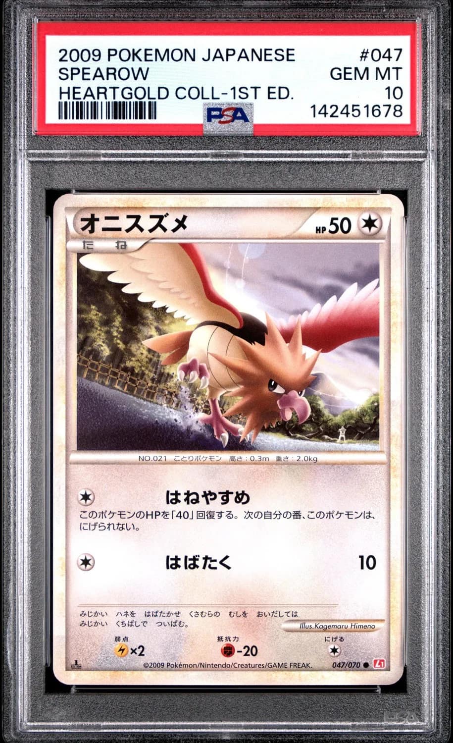 Spearow
