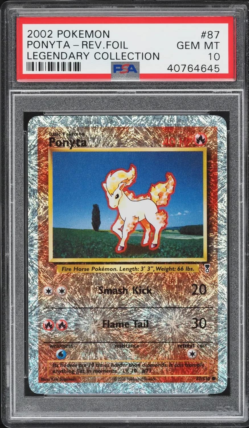 Ponyta