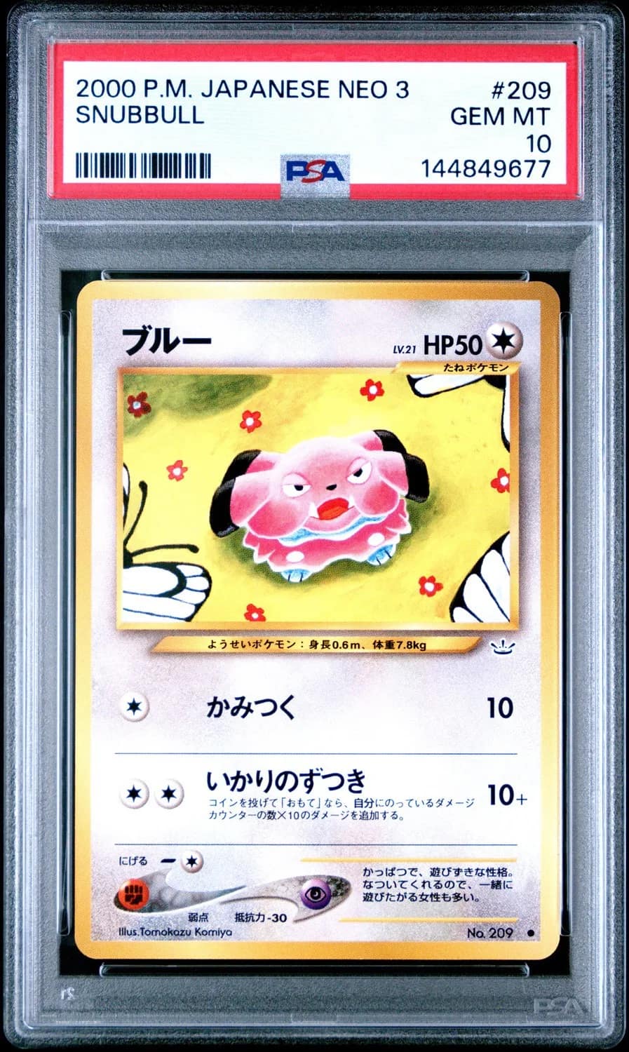 Snubbull