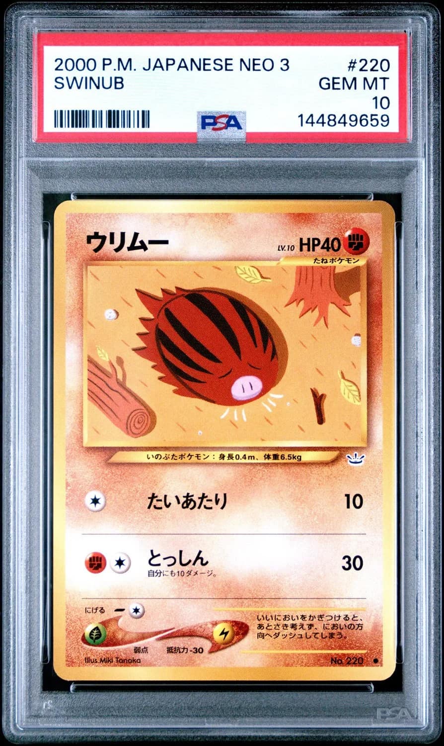 Swinub