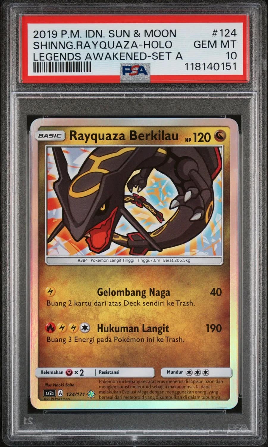 Shinng.rayquaza
