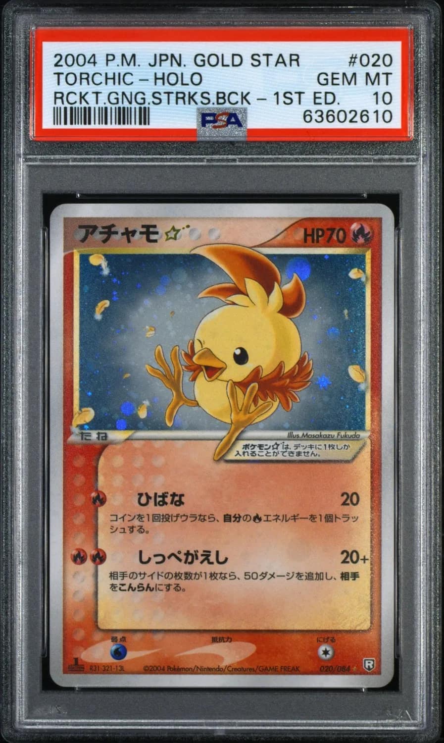 Torchic