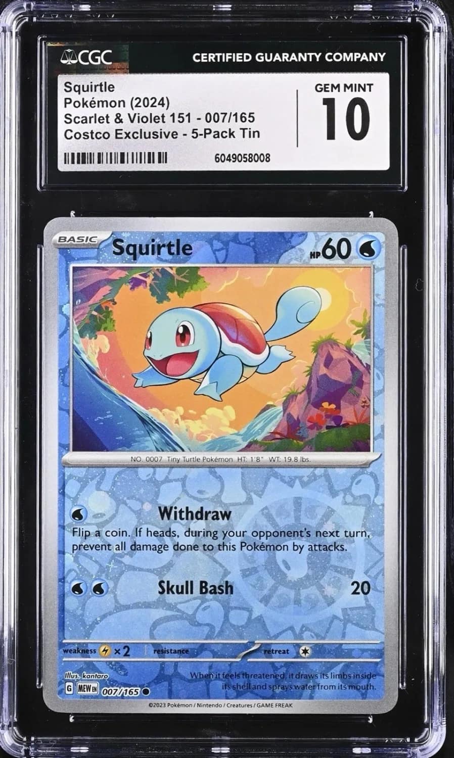 Squirtle