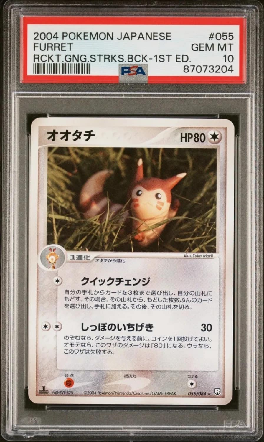 Furret