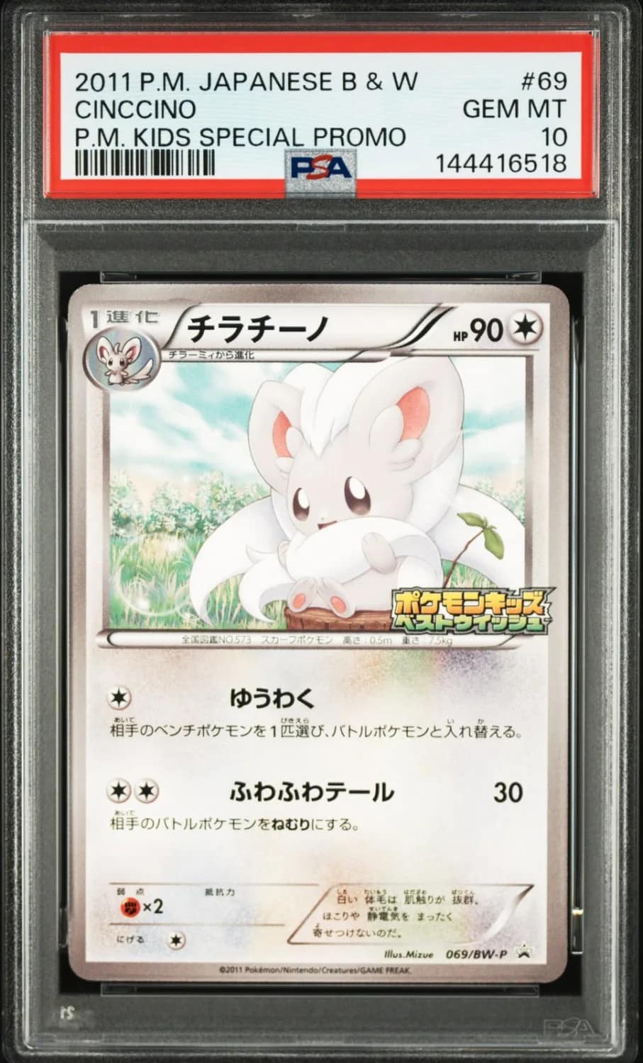 Cinccino